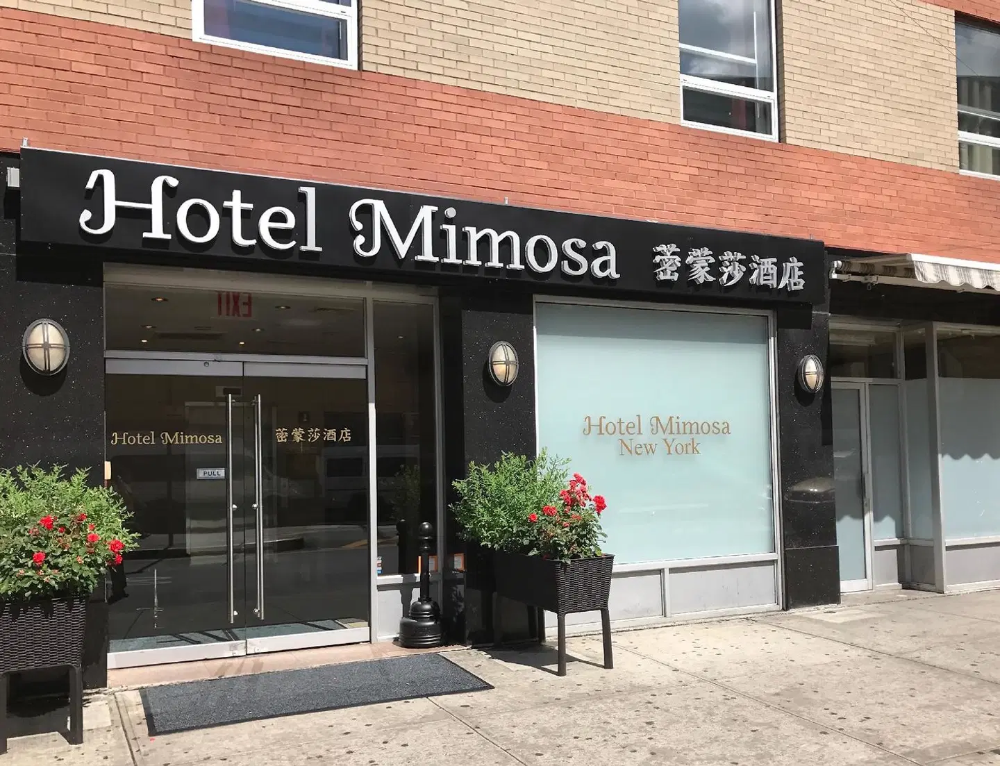 Hotel Mimosa EXTERIOR