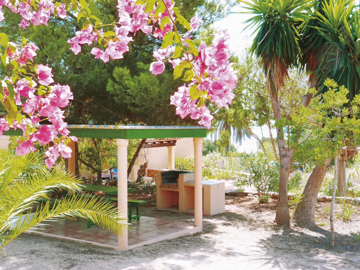 Can Miguel Torres Garten