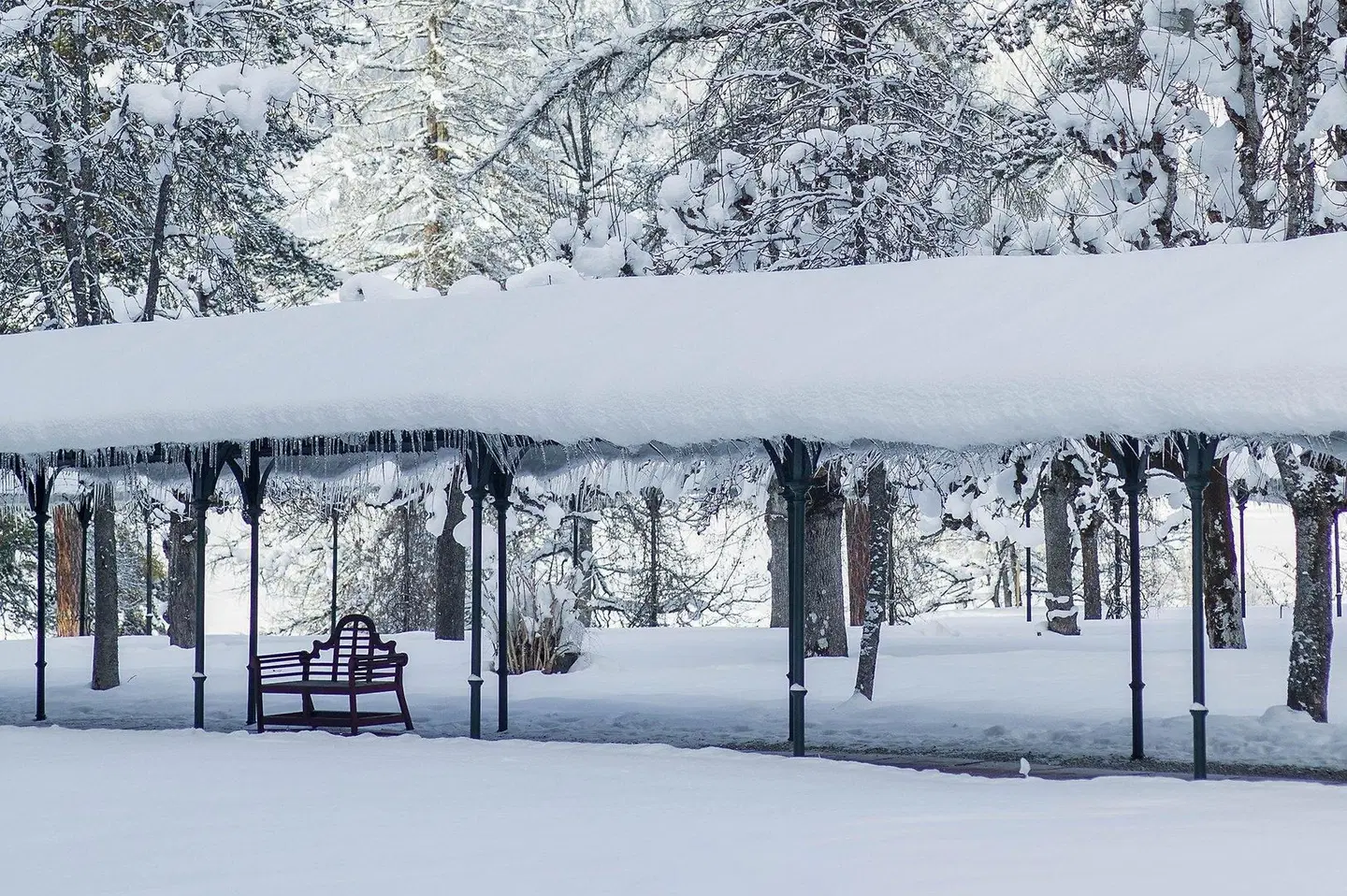 Waldhaus Flims Wellness Resort, Autograph Collection LANDSCAPE