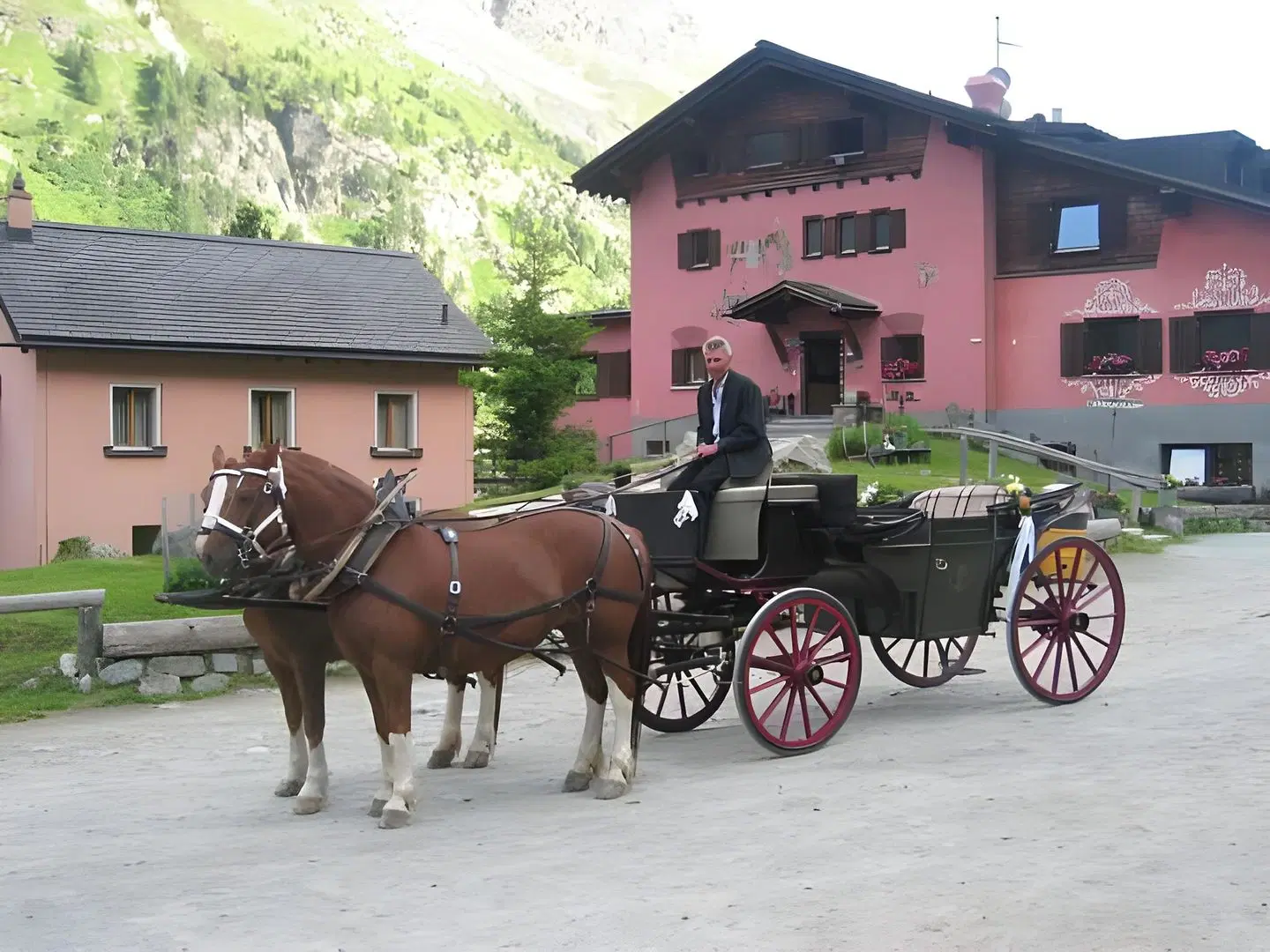 Hotel Roseg-Gletscher Tiere
