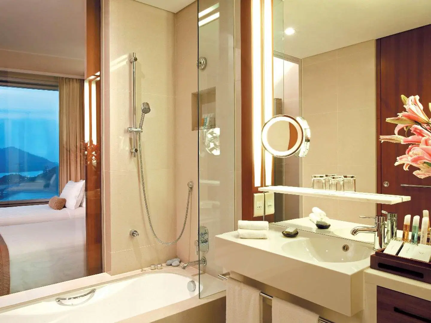 Novotel Hong Kong Citygate Hotel Badezimmer