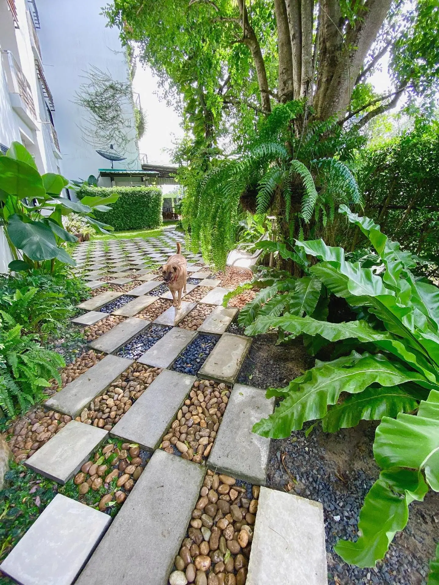 Ideo Phuket Hotel Garten