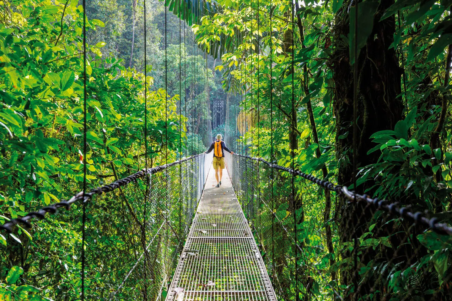 Costa Rica für Singles Garten