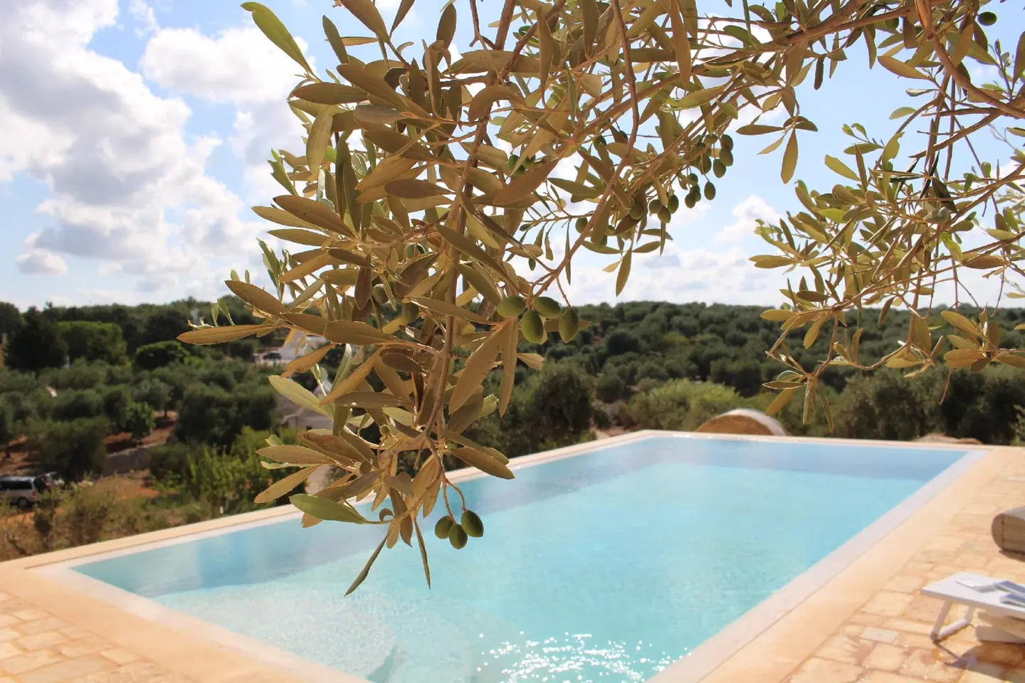 Feudi Mandolivo OUTDOOR_POOL