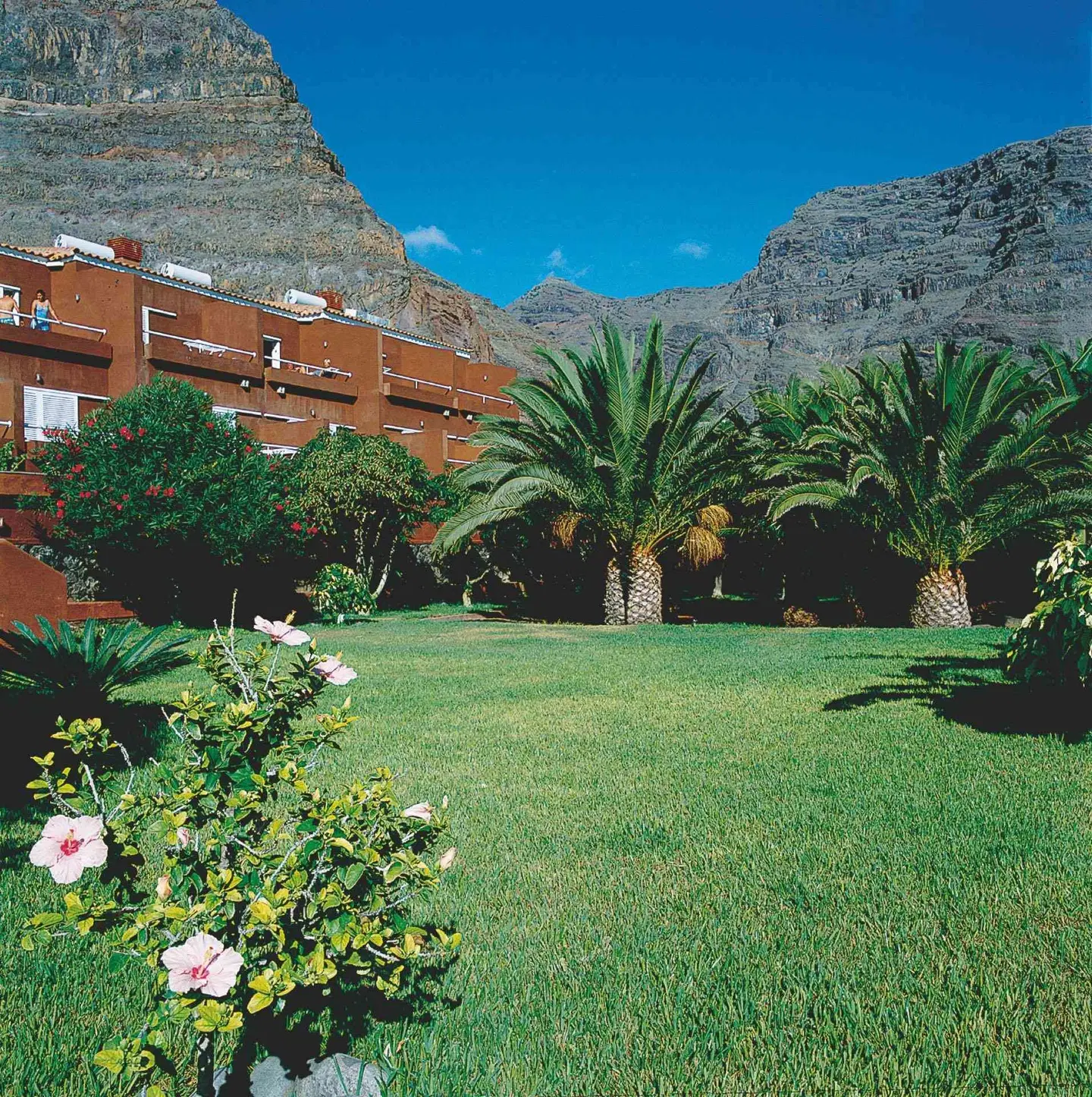 Los Tarajales GARDEN