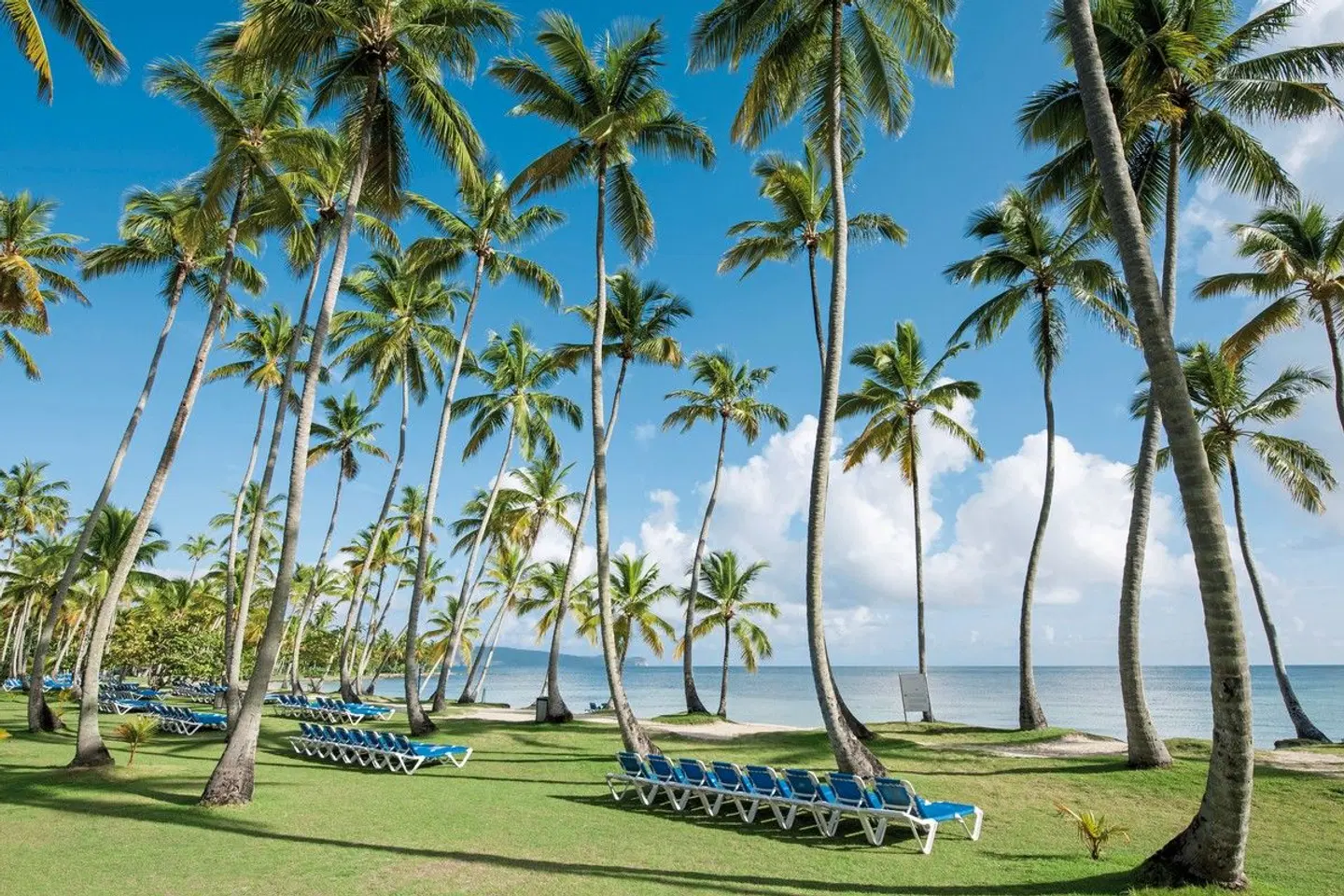 Wyndham Alltra Samaná Garten