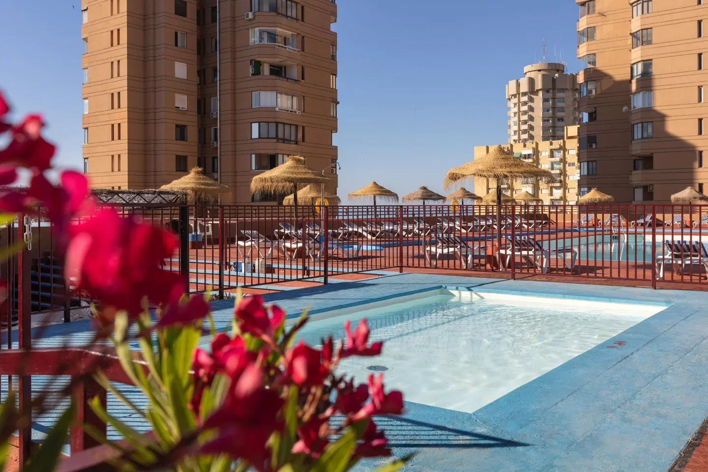 Las Palmeras affiliated by FERGUS OUTDOOR_POOL