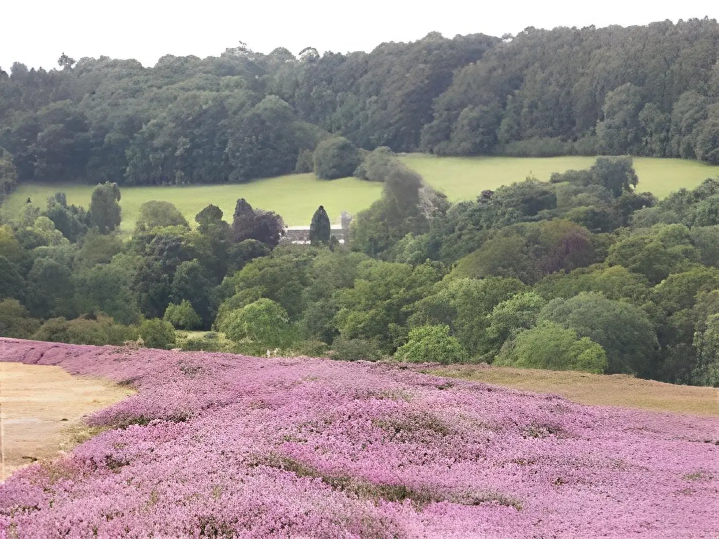 Lastingham Grange LANDSCAPE