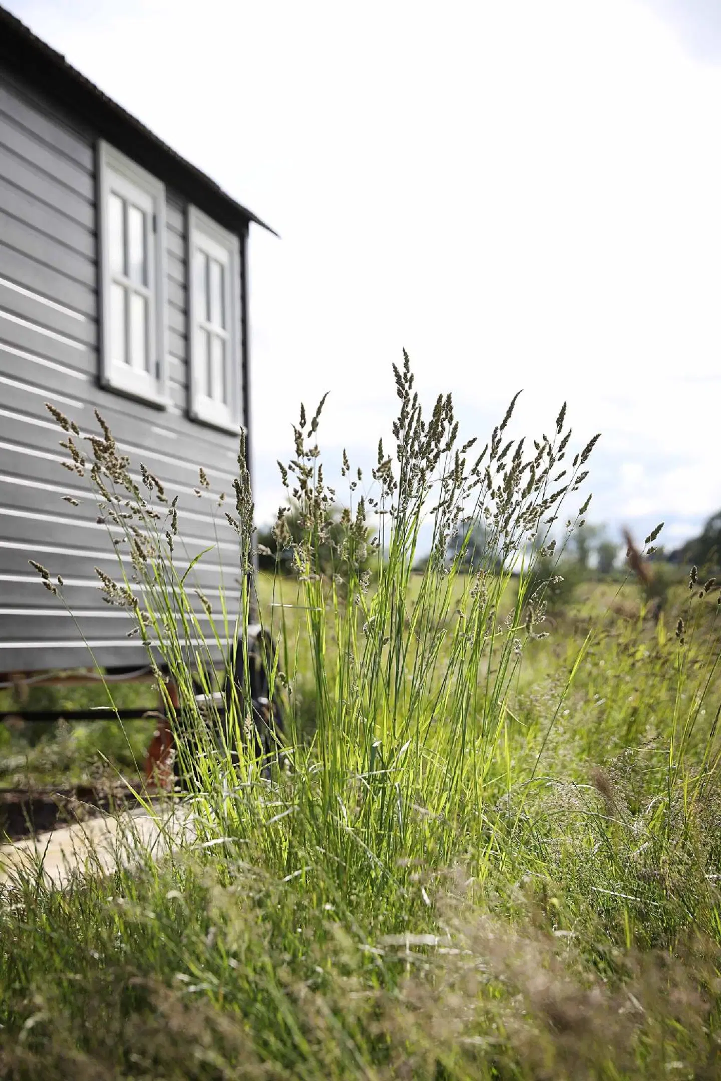 Westfield House Farm Garten