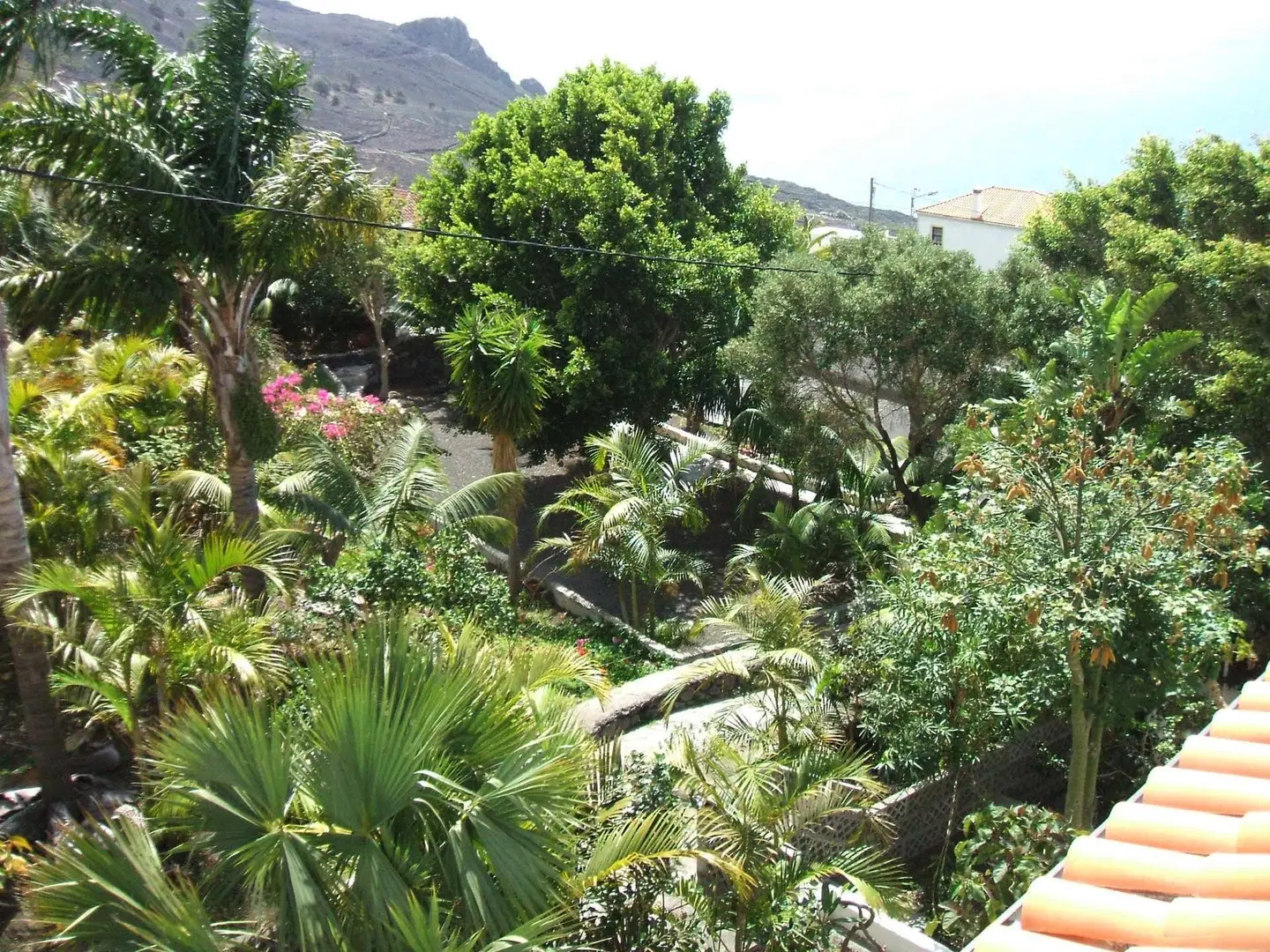 Apartamentos & Bungalows Finca Colon LANDSCAPE