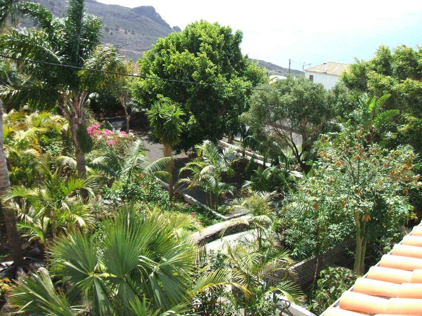 Apartamentos & Bungalows Finca Colon LANDSCAPE