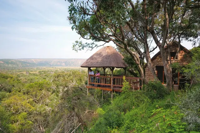 Amakhala Private Game Reserve Garten