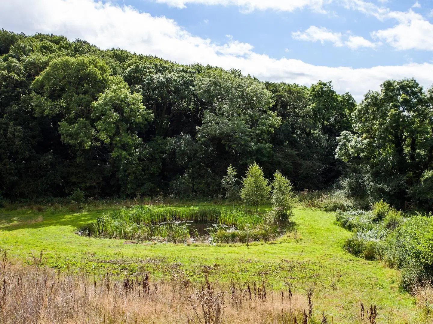 Blackthorn Gate LANDSCAPE