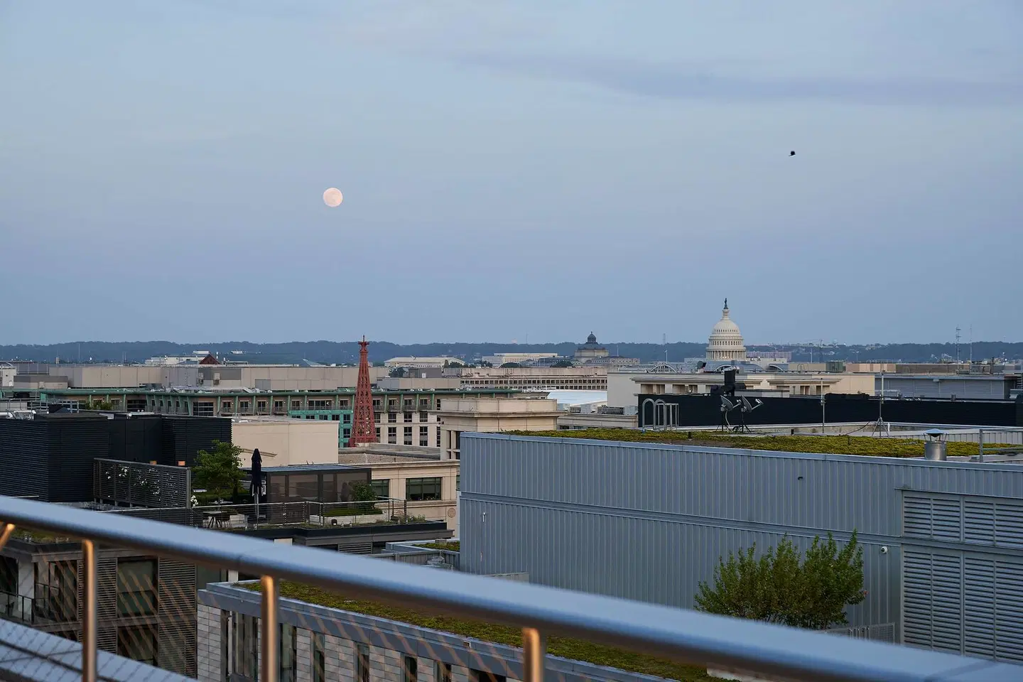 Conrad Washington DC LANDSCAPE