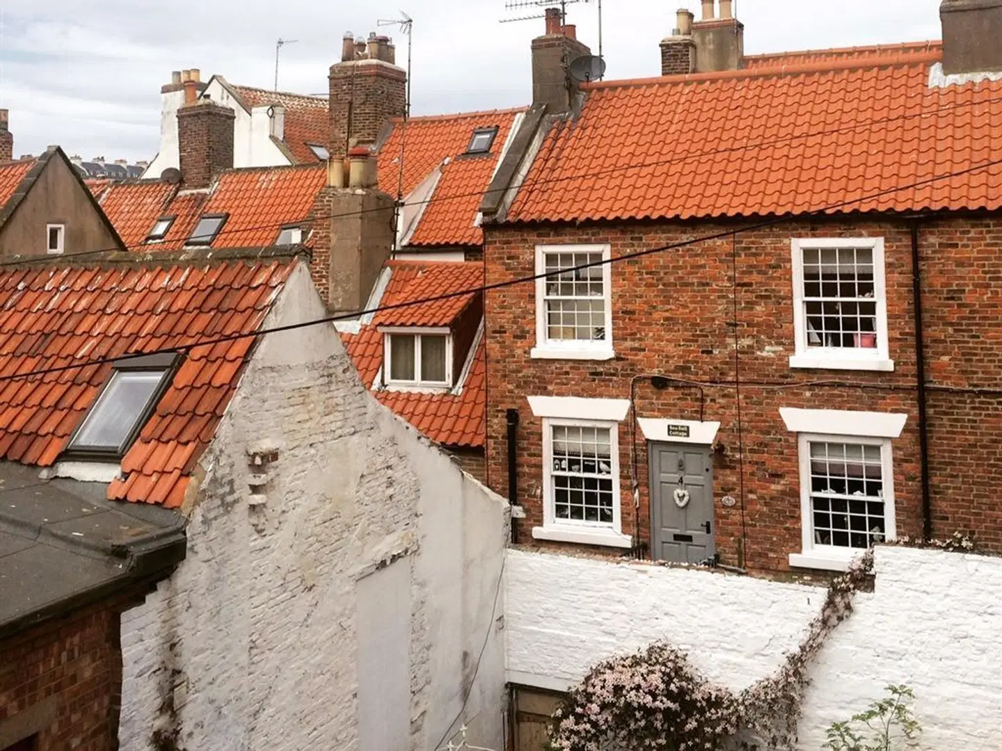 The Shepherd's Purse EXTERIOR