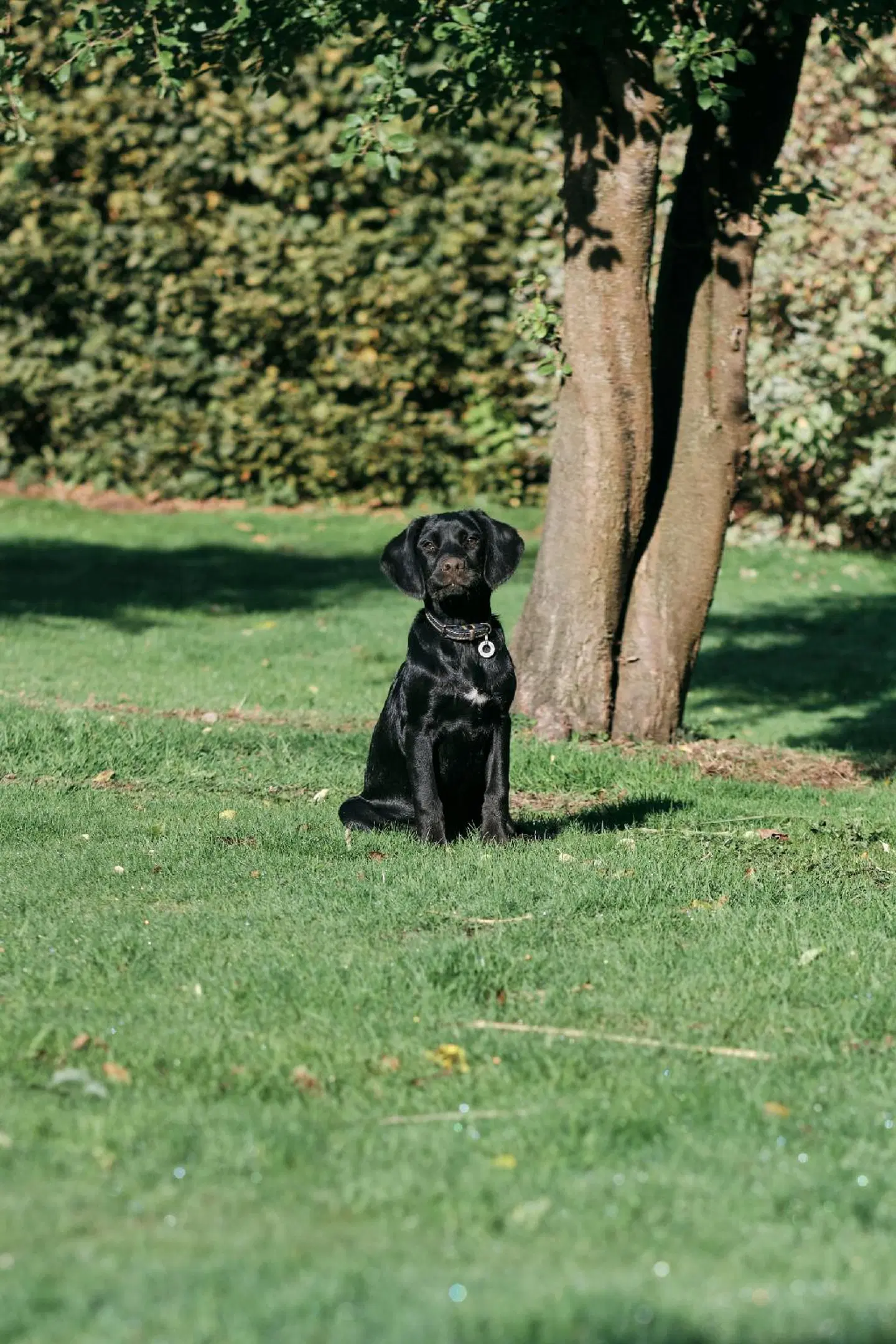 The Agent's House Bed and Breakfast Tiere