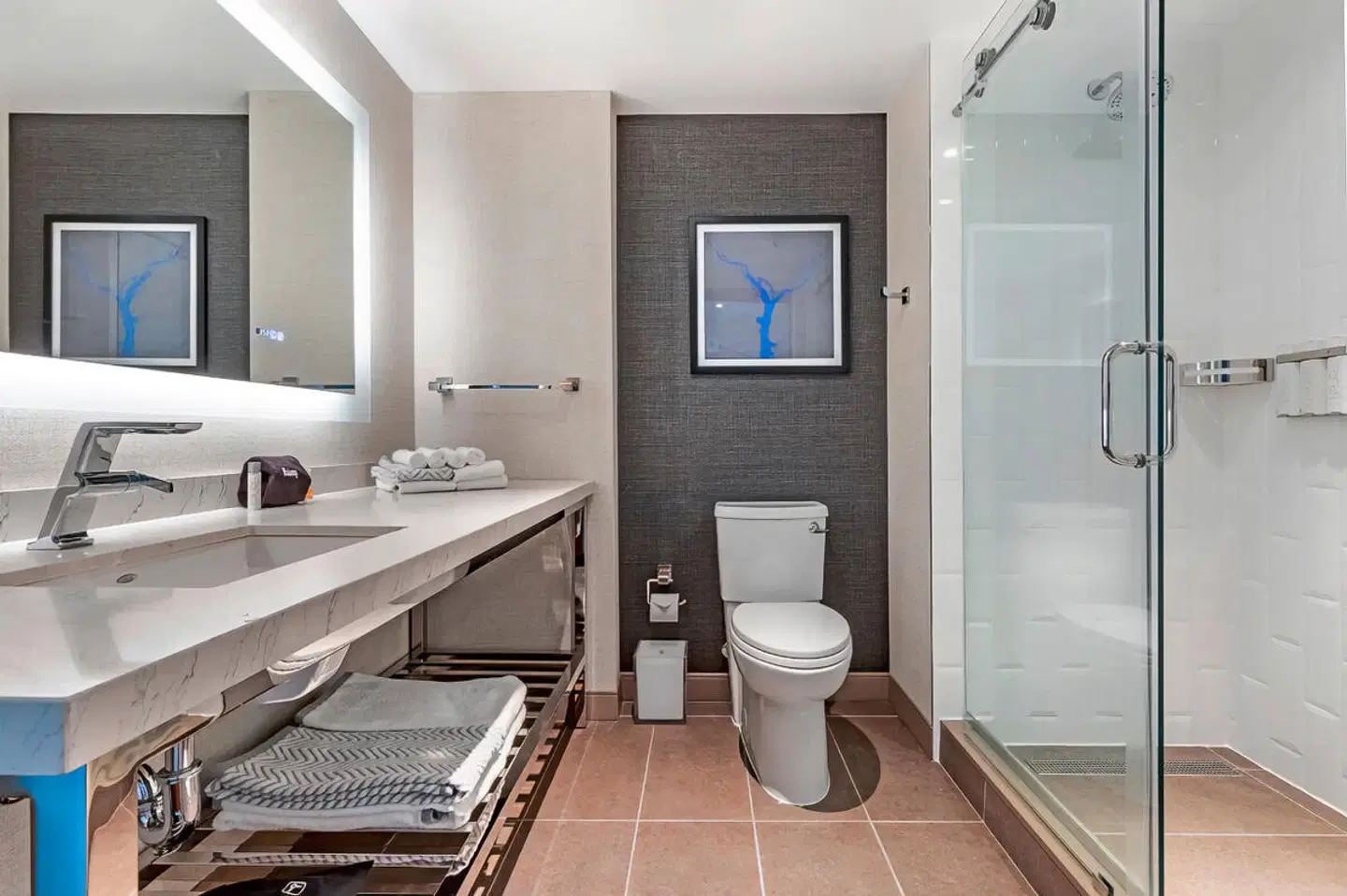Cambria Hotel Washington D.C. Navy Yard Riverfront Badezimmer
