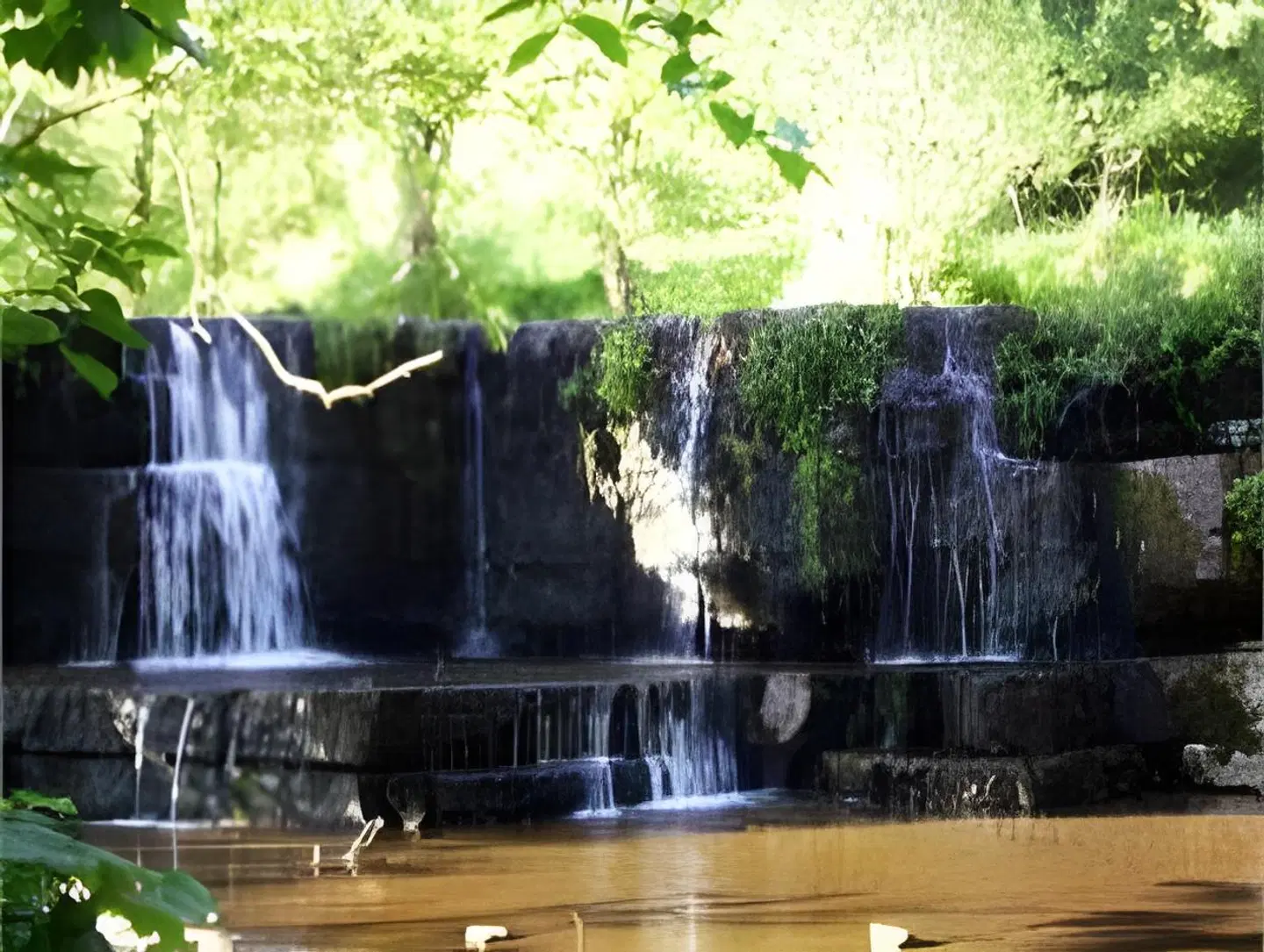 Fountains Guest Accommodation Tiere