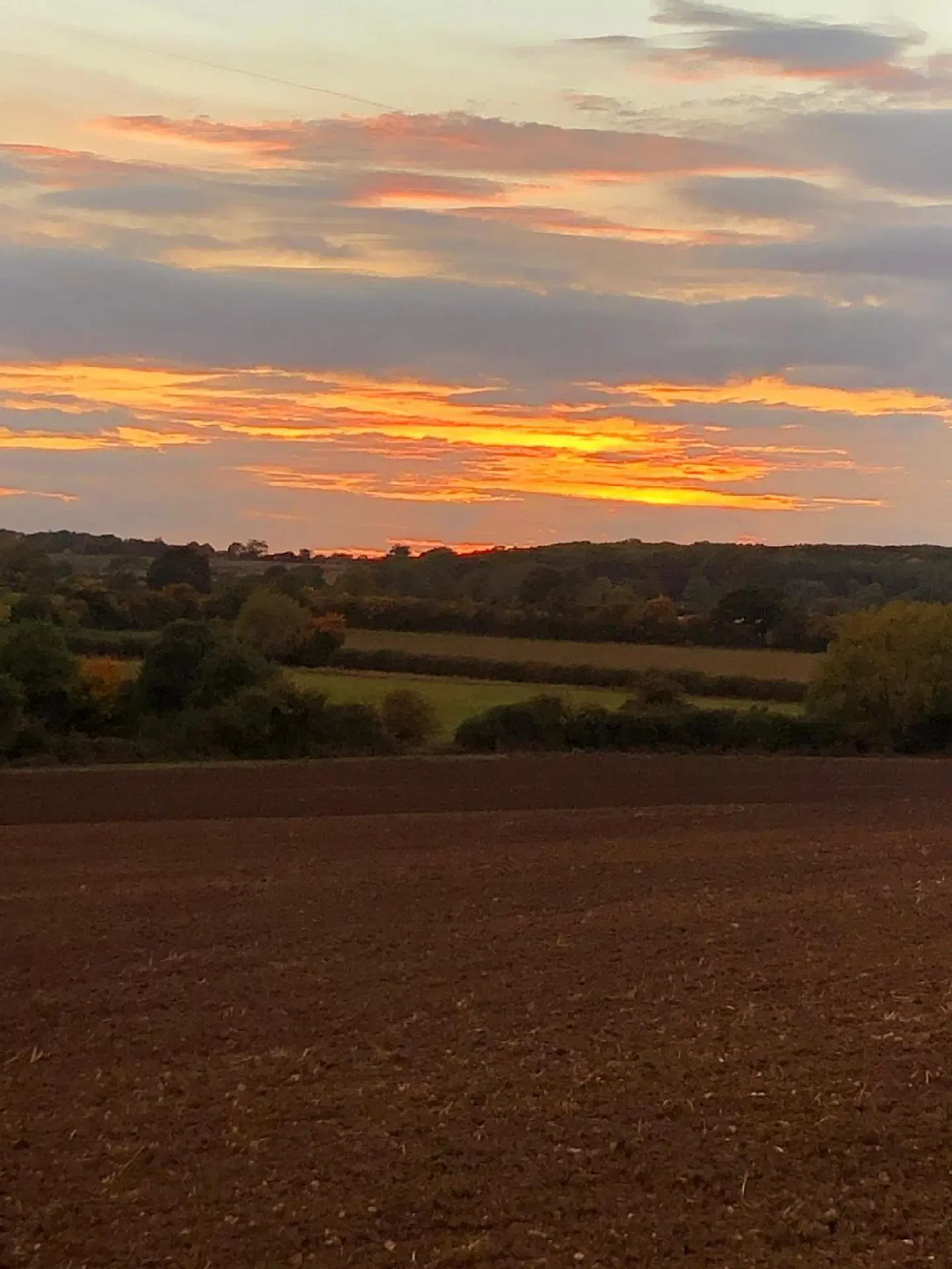 Astwell Mill LANDSCAPE