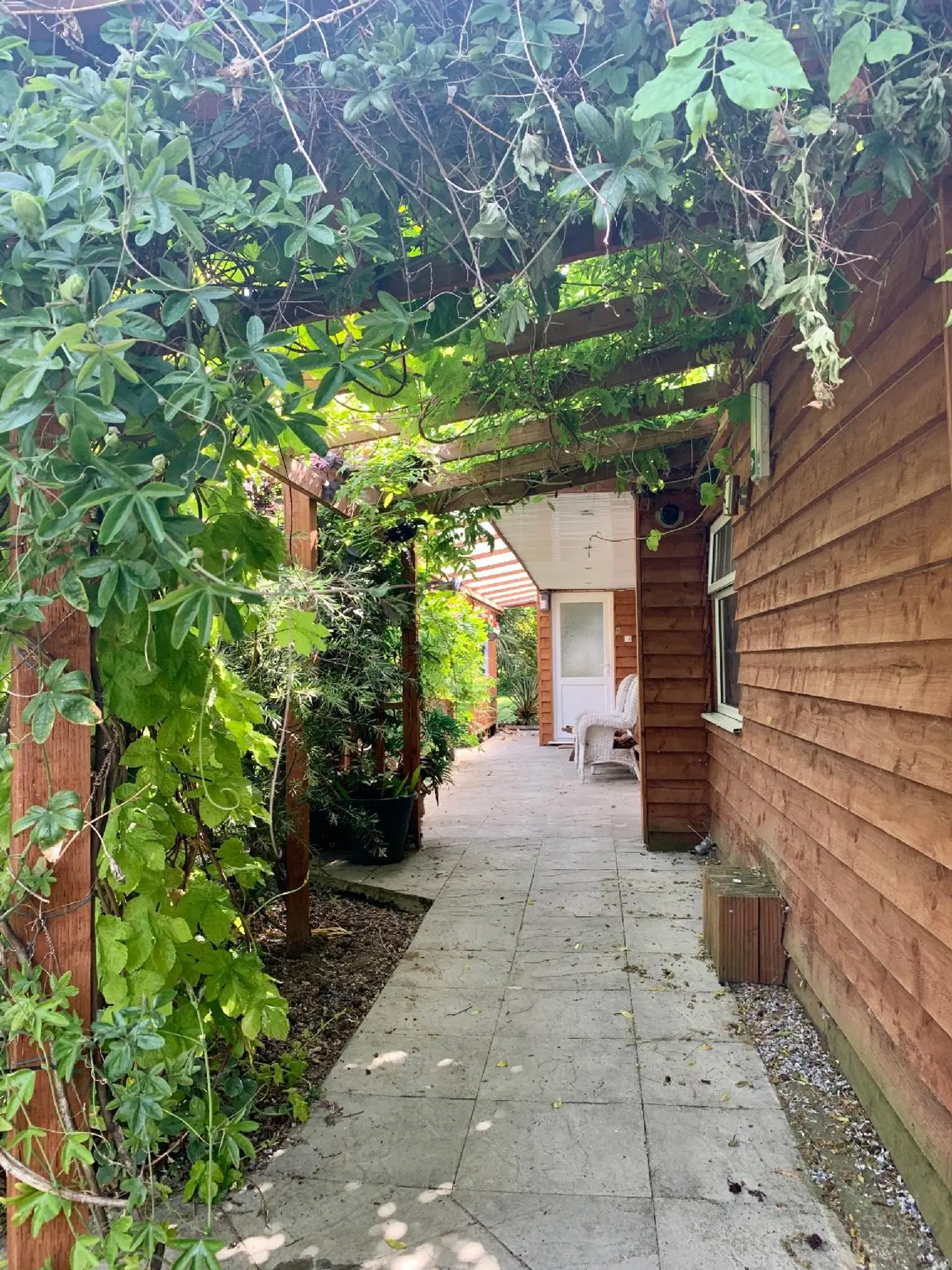 Woodpaddock Bed & Breakfast Garten