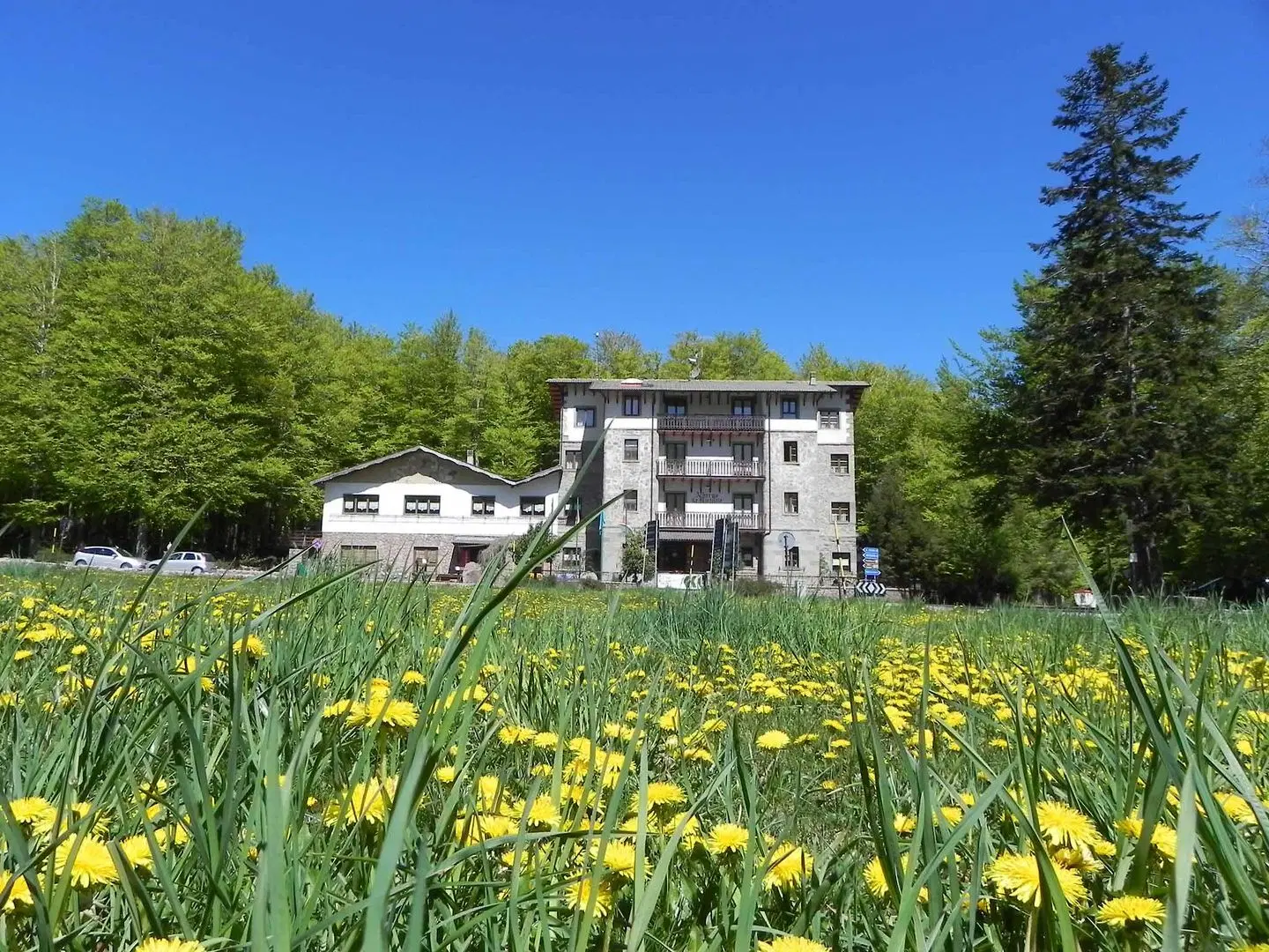 Albergo Le Macinaie Garten