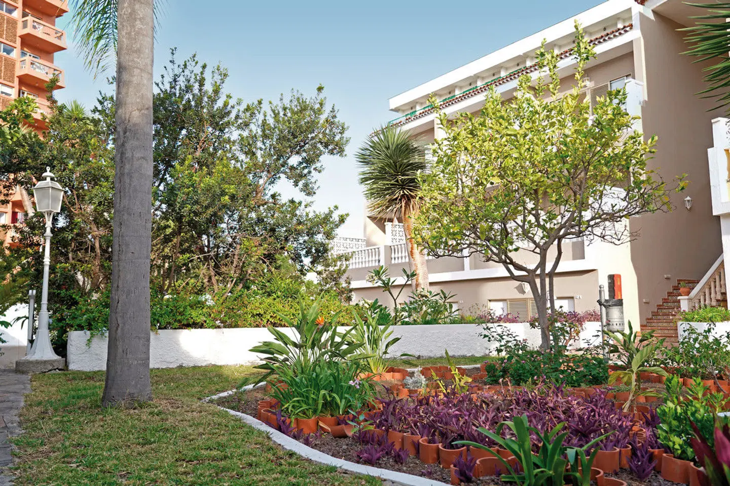 RF San Borondón EXTERIOR