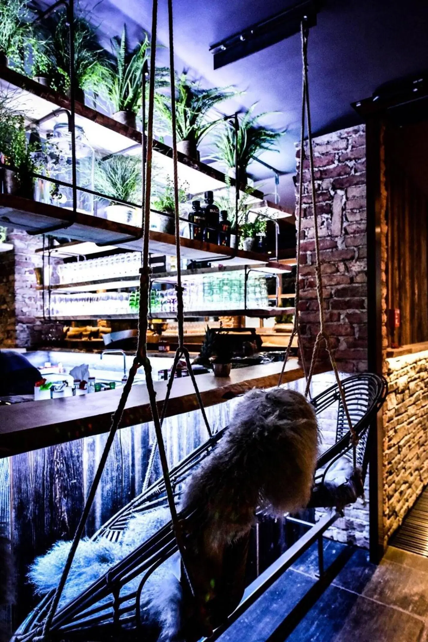 Hotel Eder Bar