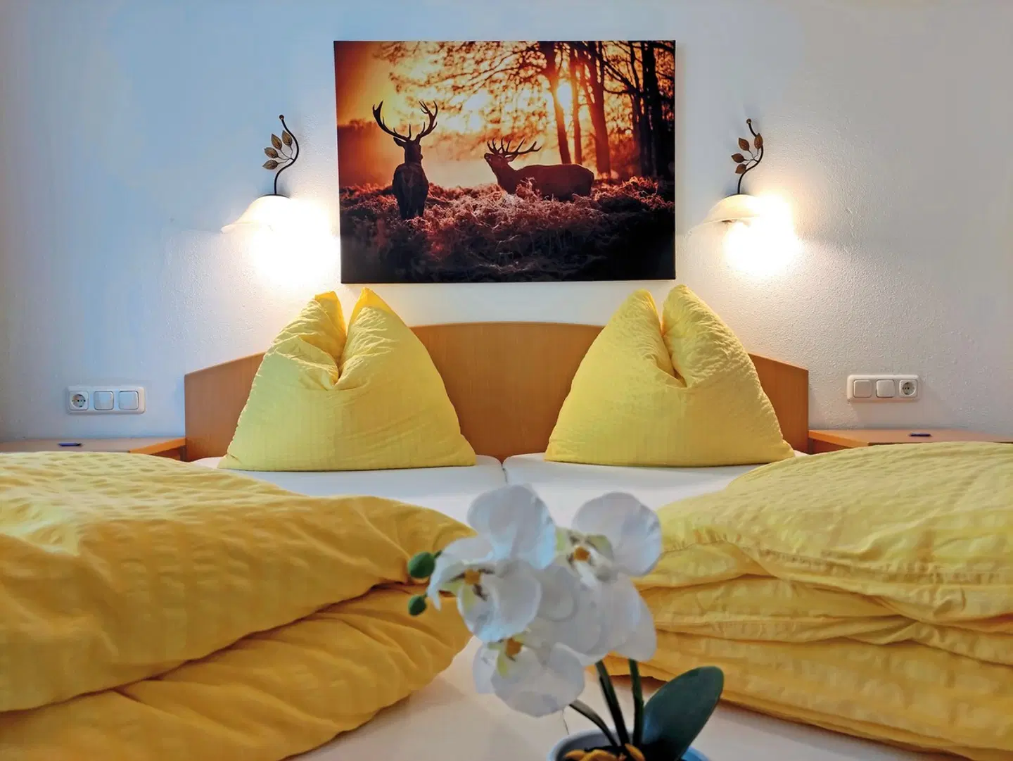 Hotel Wasserfall ROOM_EXAMPLE