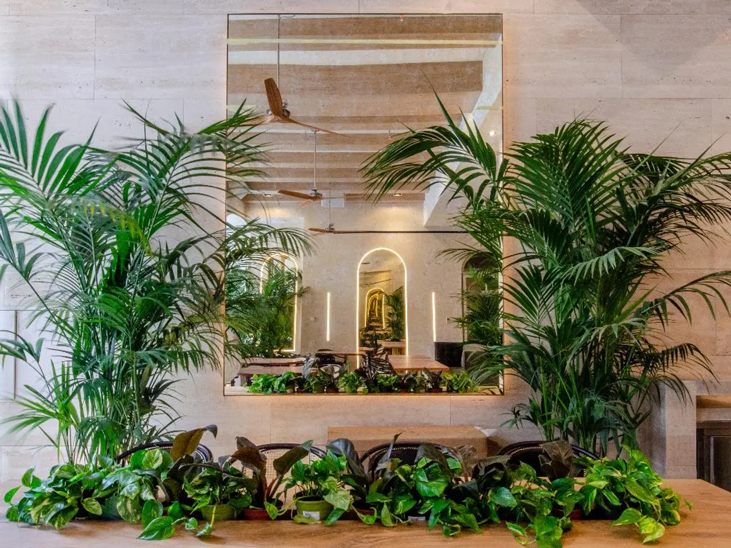 Brown's | Avenue Hotel Garten