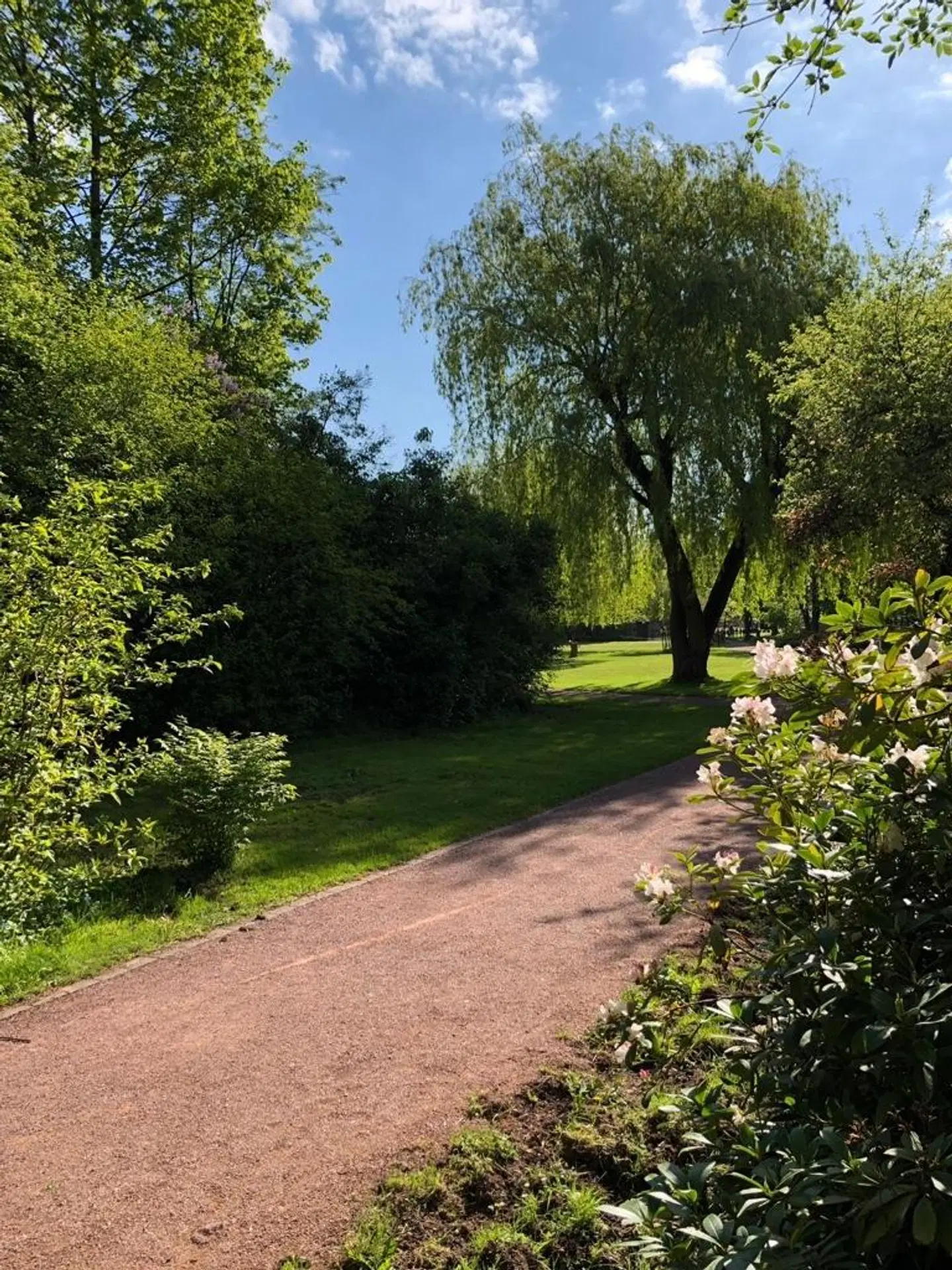 Hotel Zur Köppe Garten