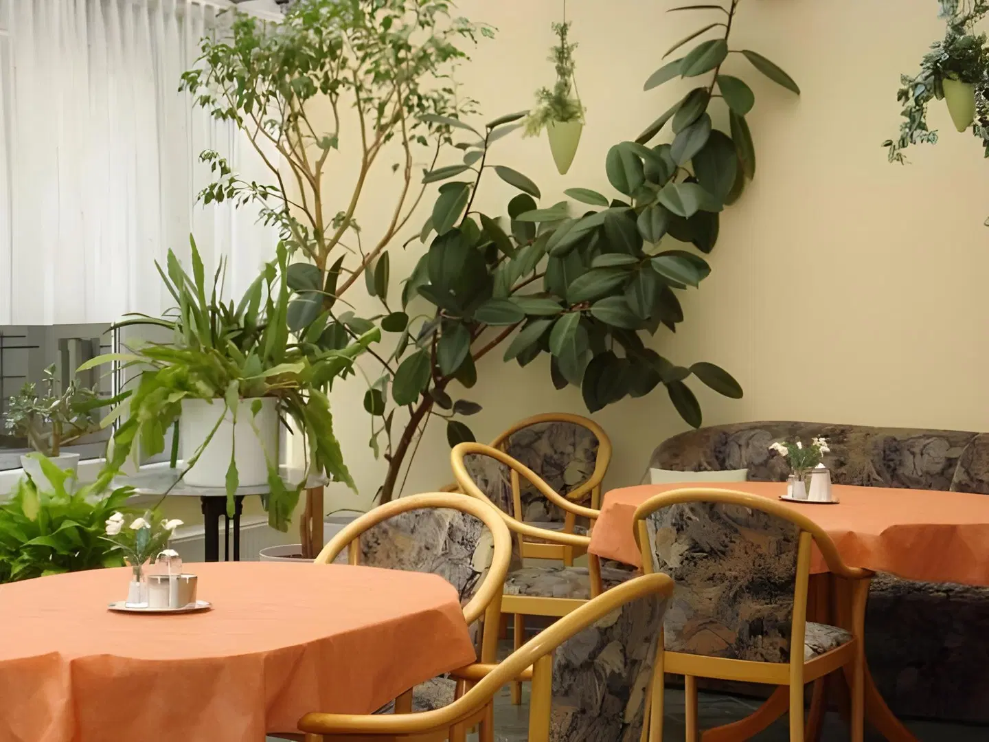 Regina Terrasse