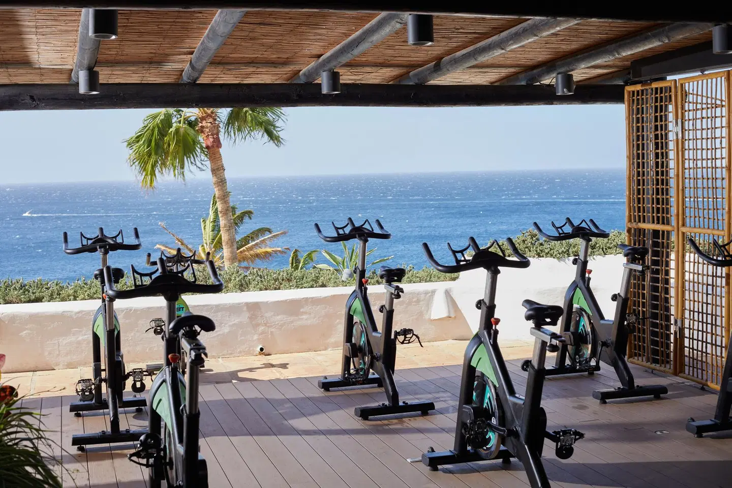 Hyatt Ziva Jardín Tropical Tenerife SPORTS_AND_LEISURE