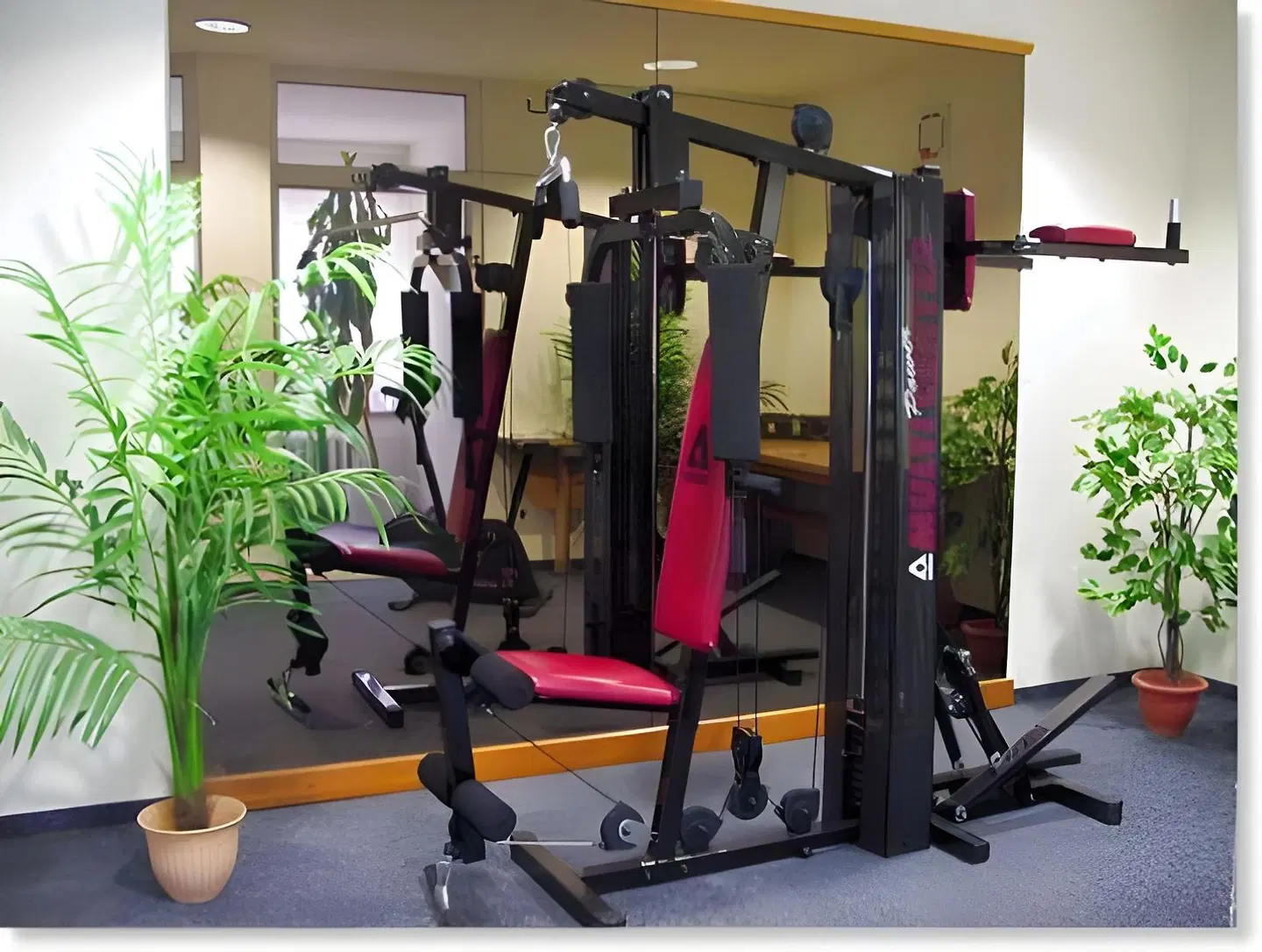 Goldener Stern SPORTS_AND_LEISURE