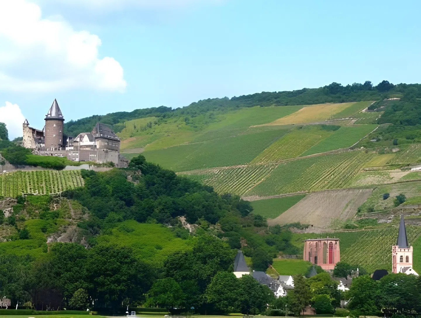 Gasthaus Weingut Stahl LANDSCAPE