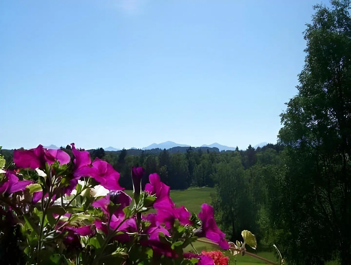 Parkhotel Bayersoien LANDSCAPE