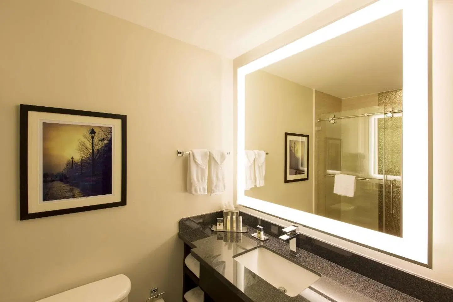 DoubleTree by Hilton Hotel Savannah Historic District Badezimmer