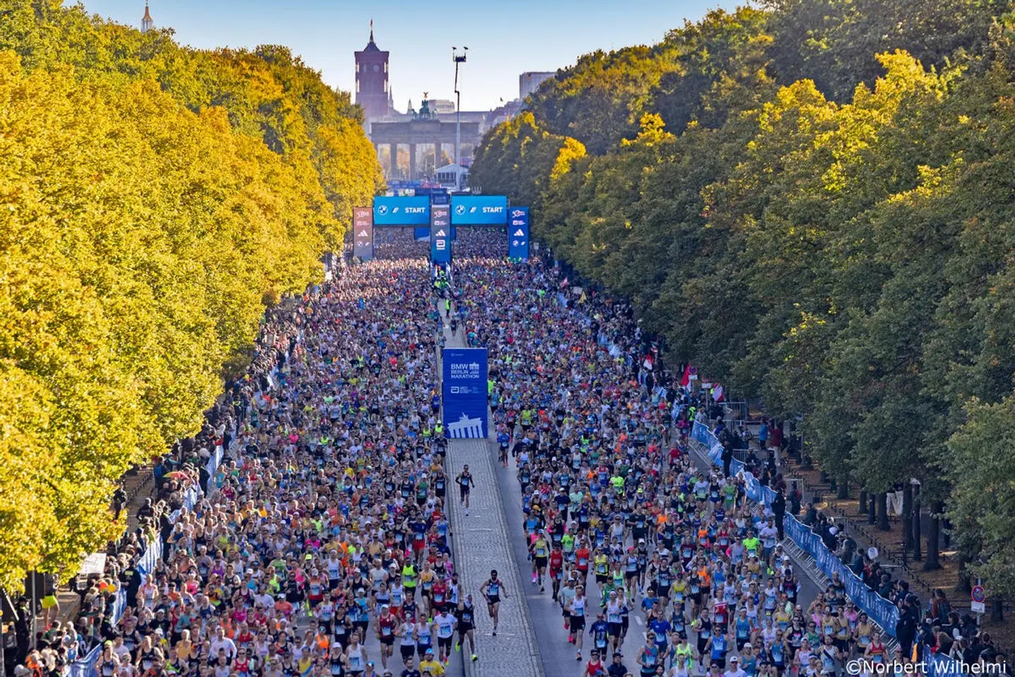 Hotel Dietrich Bonhoeffer Haus - inkl. 1 Startnummer Berlin Marathon LANDSCAPE