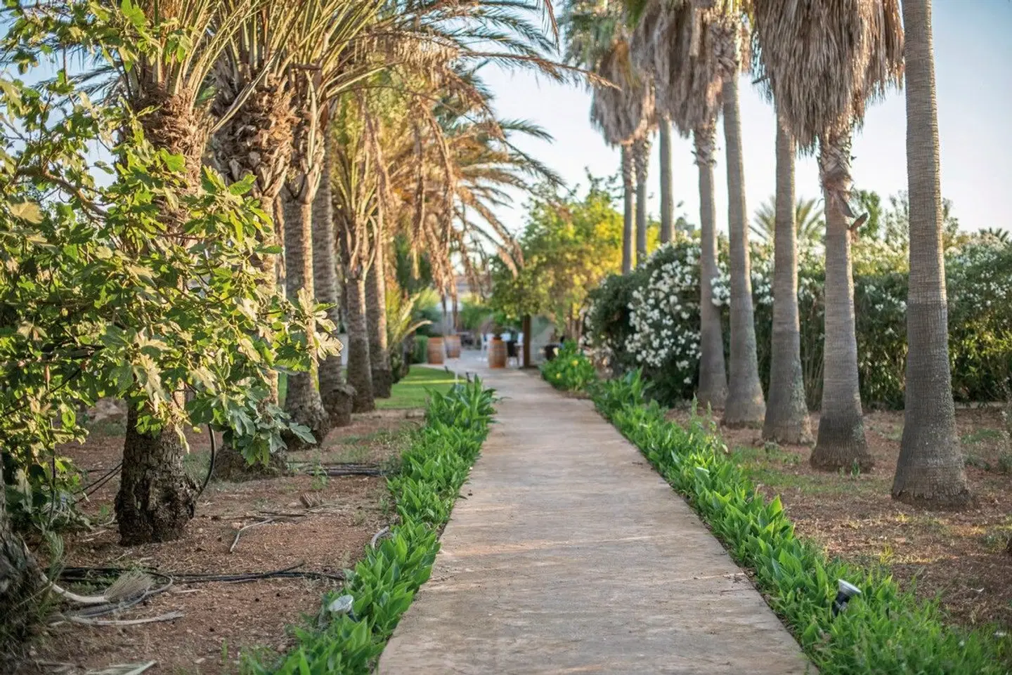 Finca Can Canals & Spa Garten