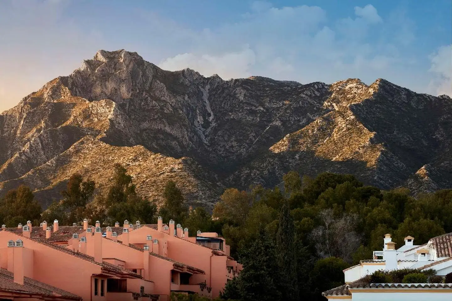 NH Collection Marbella LANDSCAPE