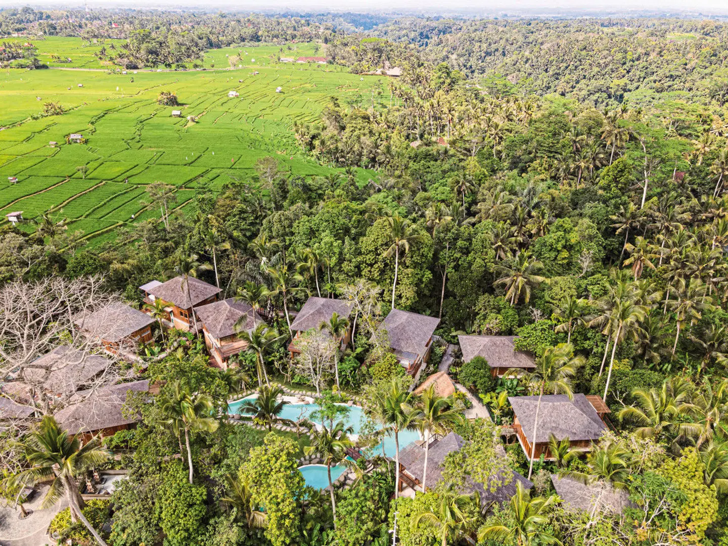 Kappa Senses Ubud LANDSCAPE