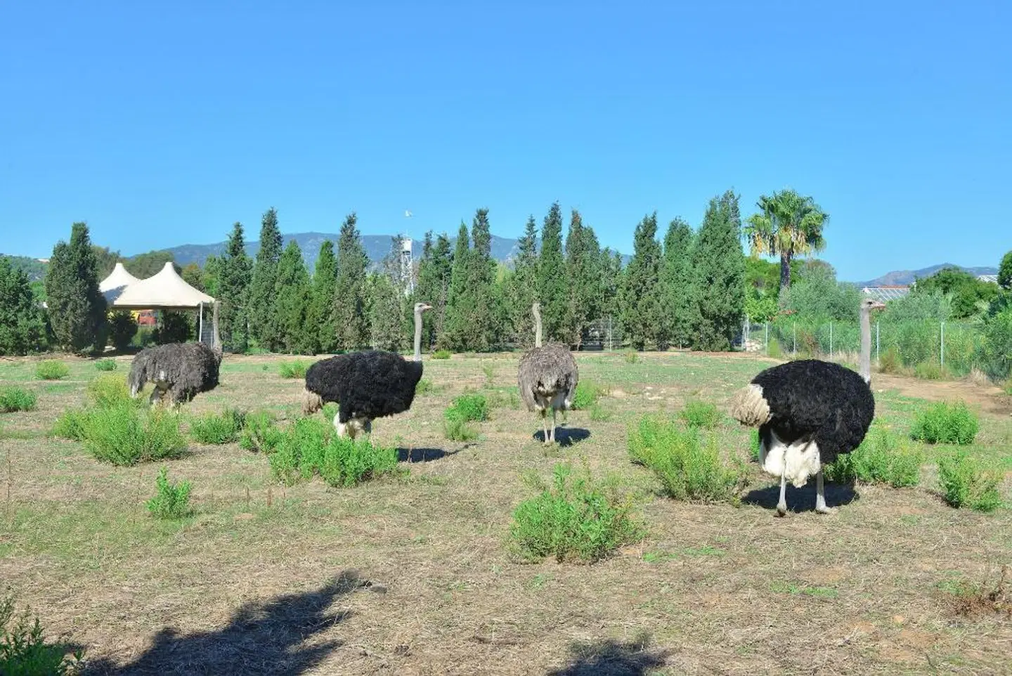 Hotel Rurale Orti di Nora Tiere