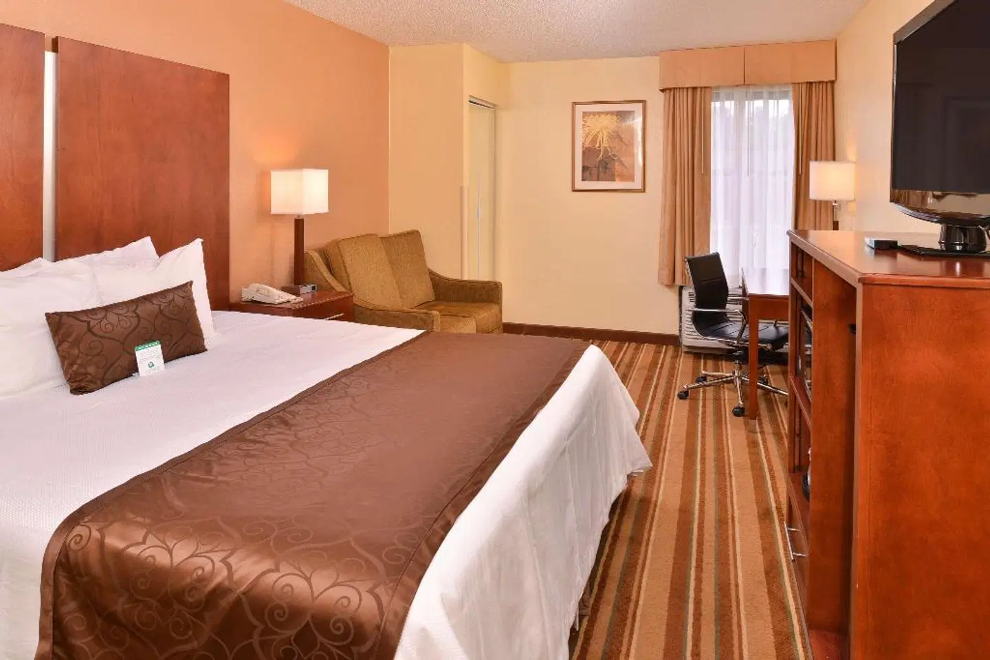 Best Western Plus Richmond ROOM_EXAMPLE