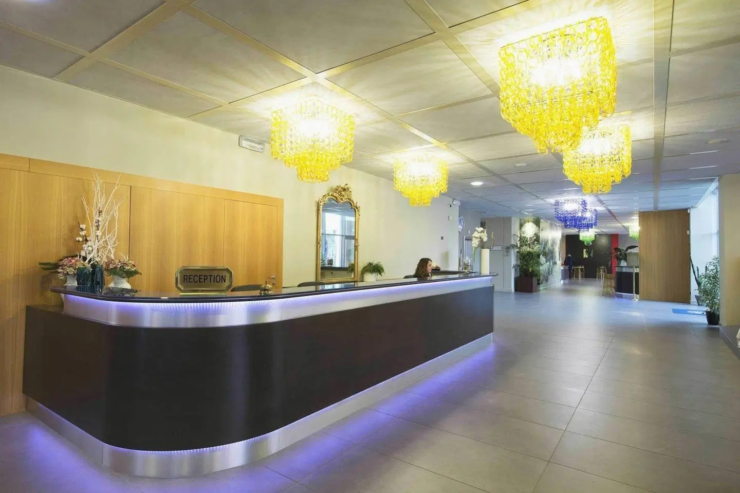 Anusca Palace Hotel LOUNGE_LOBBY