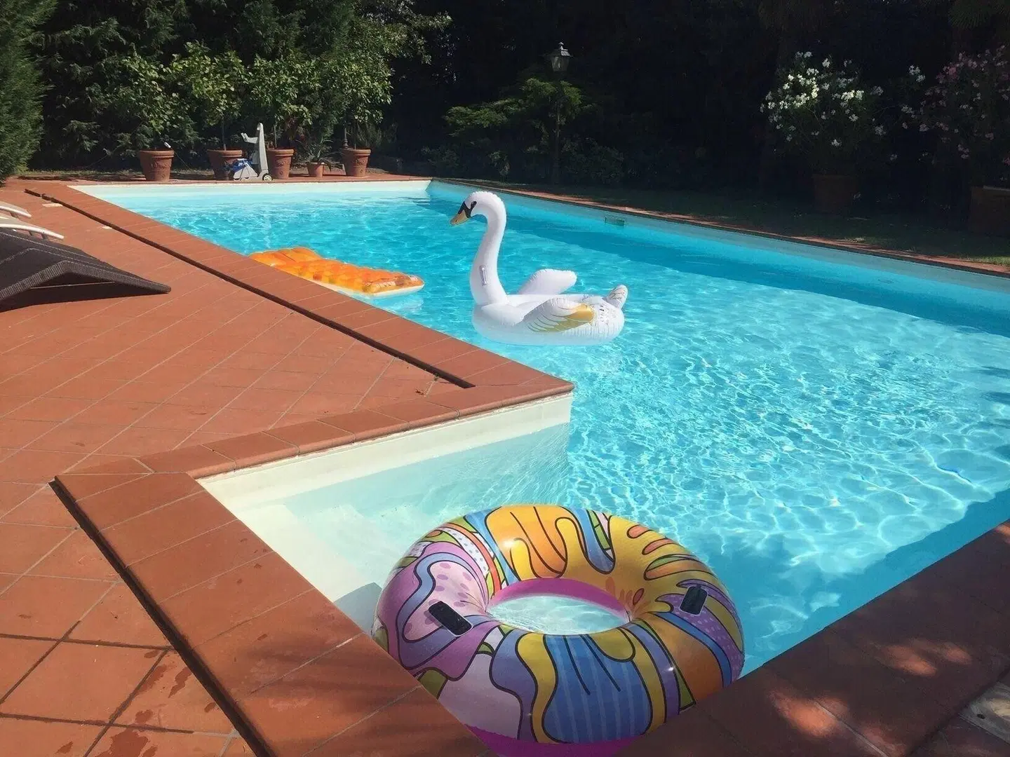 B&B Villa delle Palme OUTDOOR_POOL