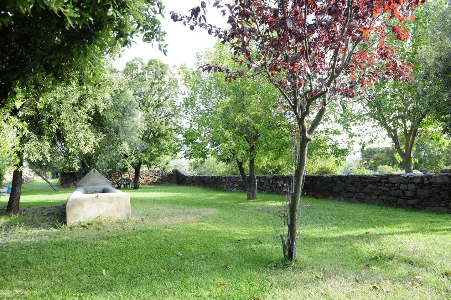 Sa Mola Villa Maria Francesca Garten