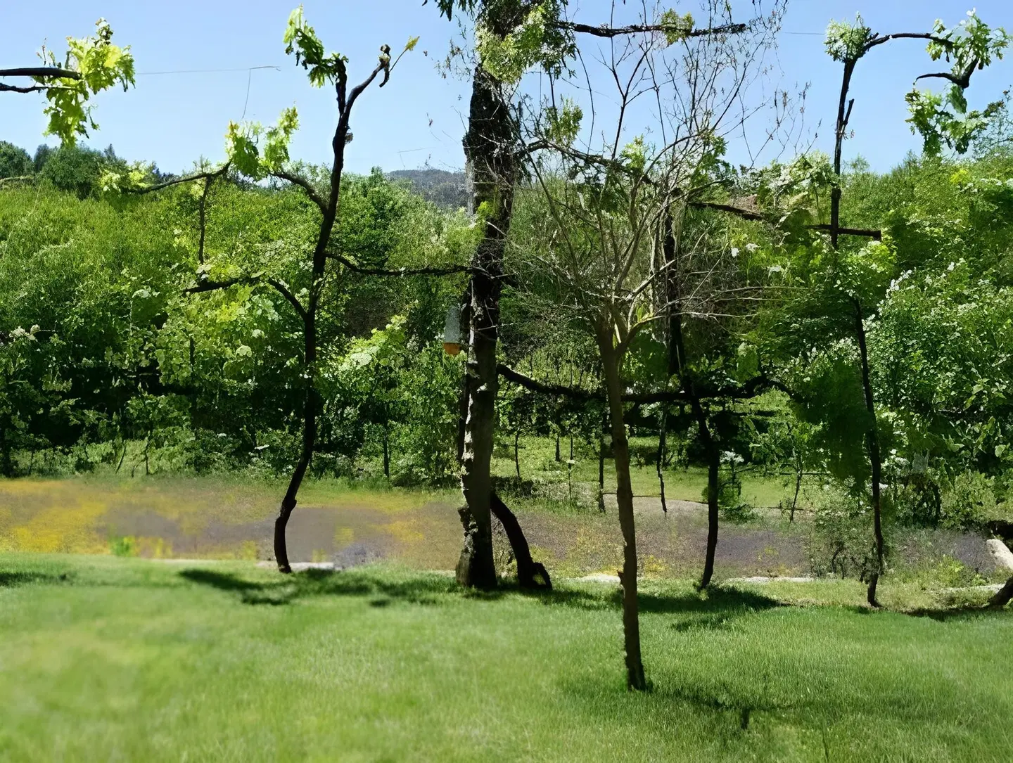 Quinta Travessa Garten