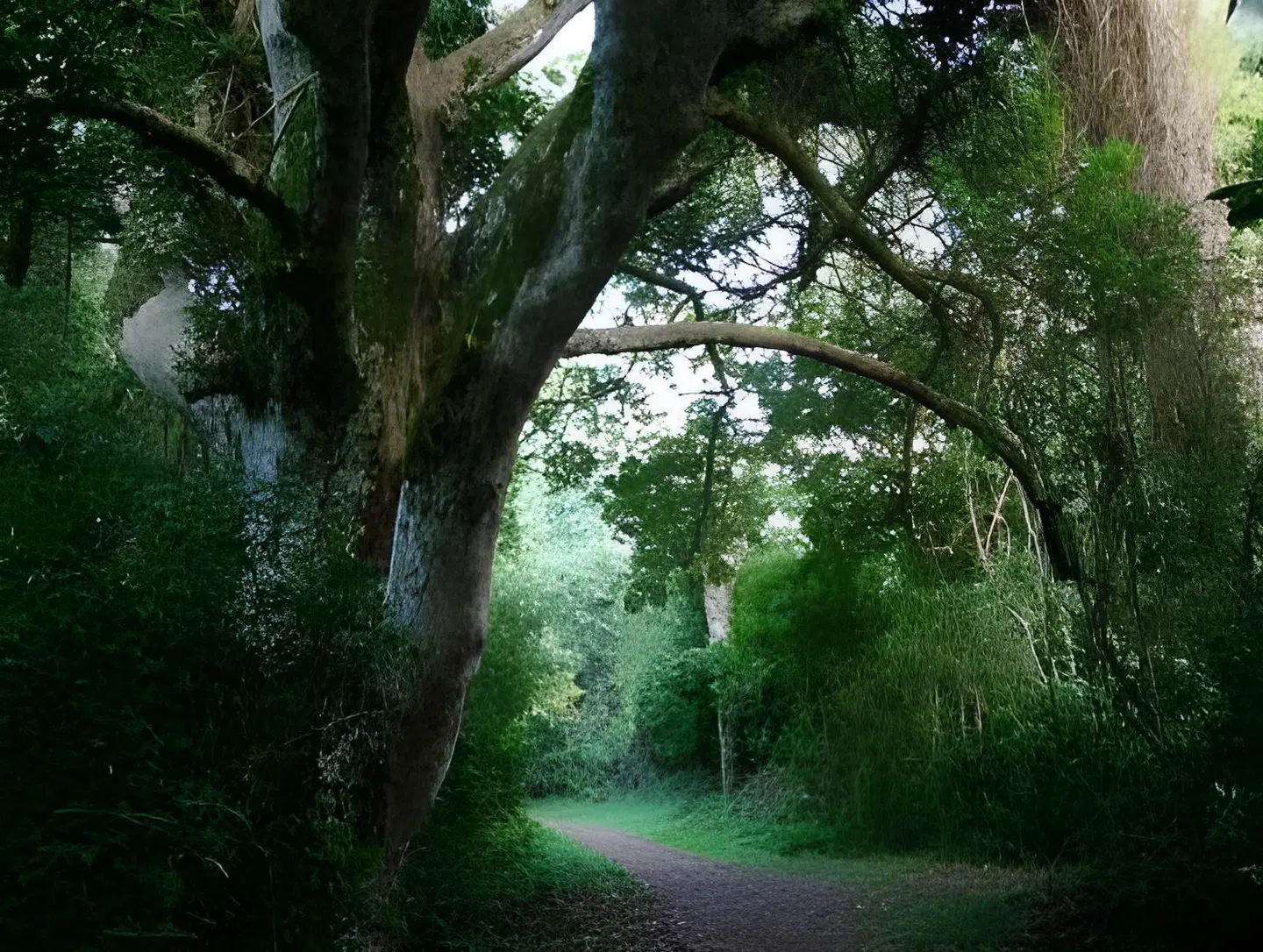 Ingwenya Lodge LANDSCAPE