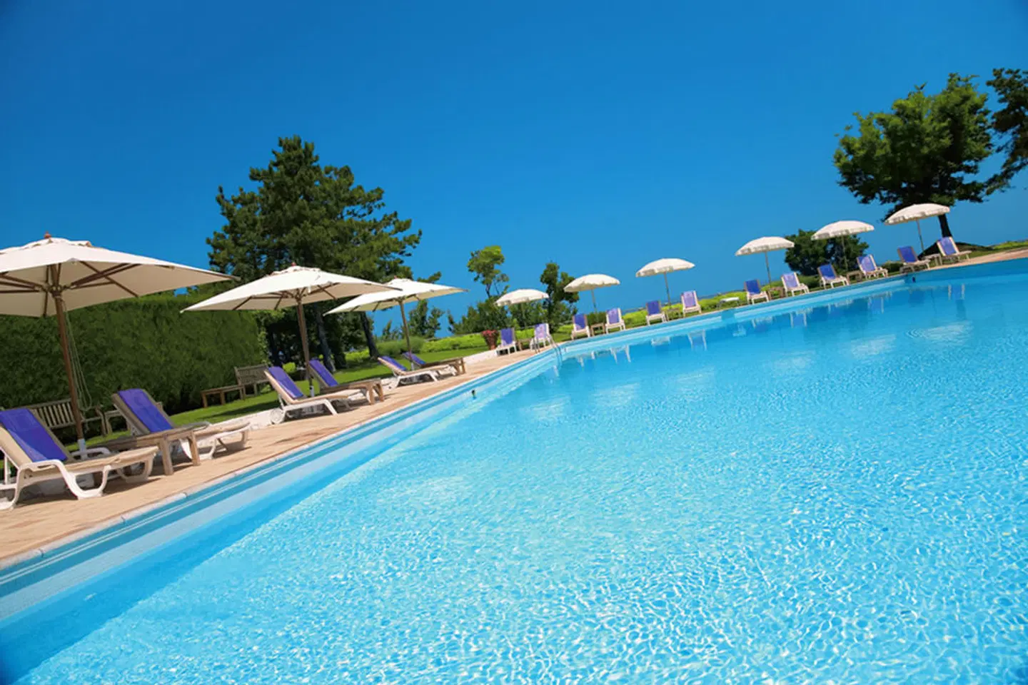 Hotel Emilia OUTDOOR_POOL
