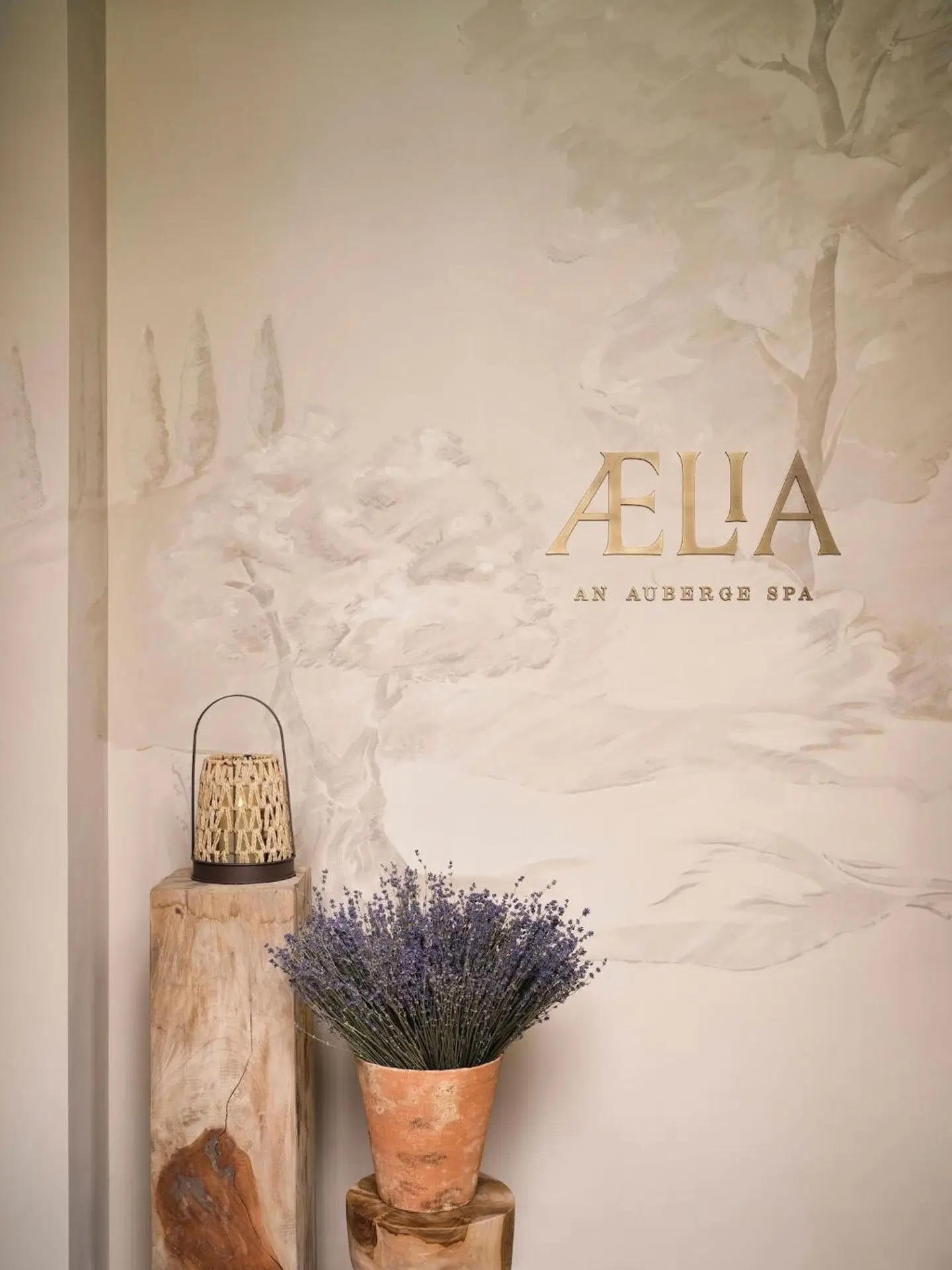 Collegio alla Querce, Auberge Resorts Collection ROOM_EXAMPLE