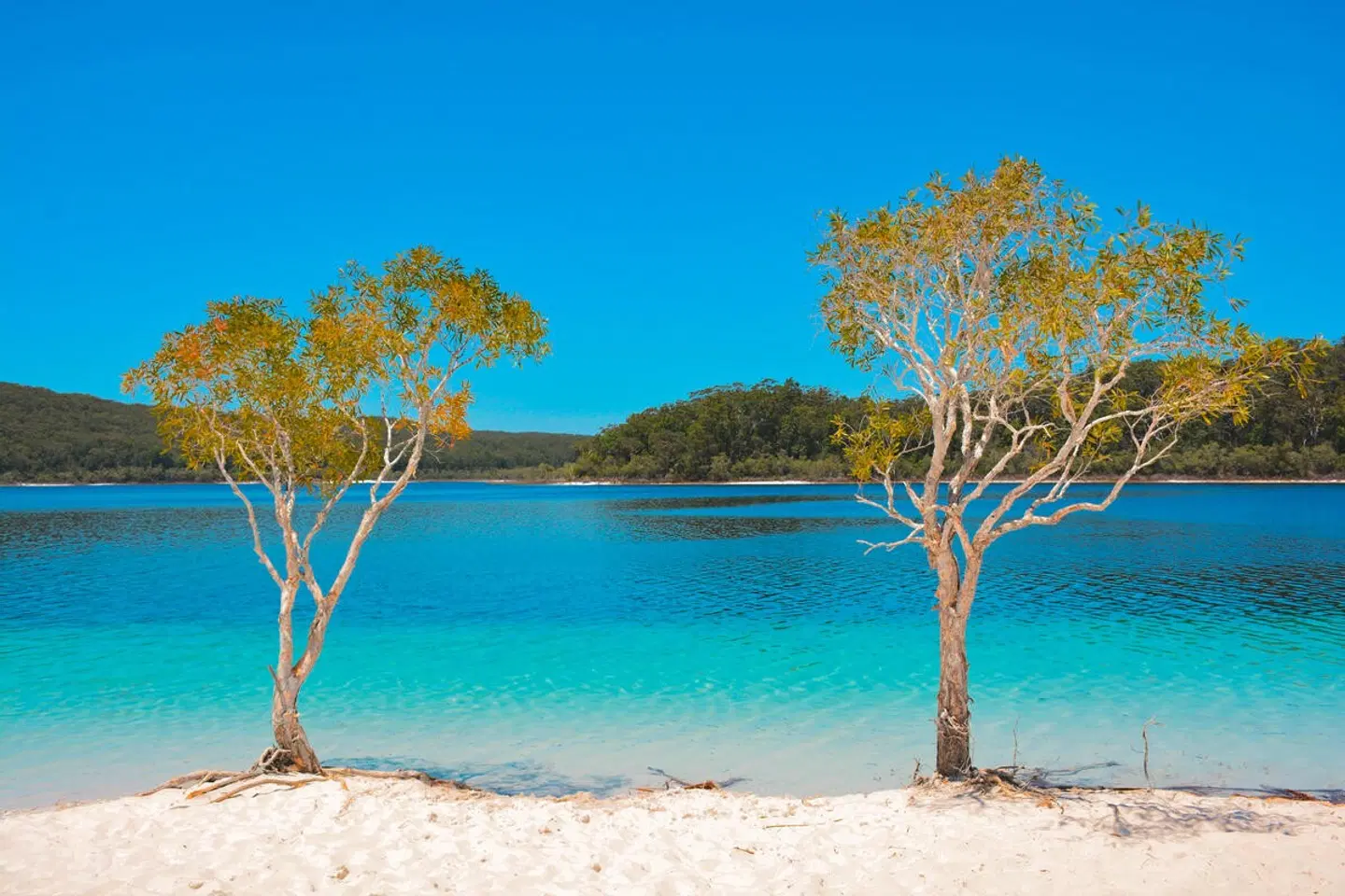 Kingfisher Bay Resort Strand